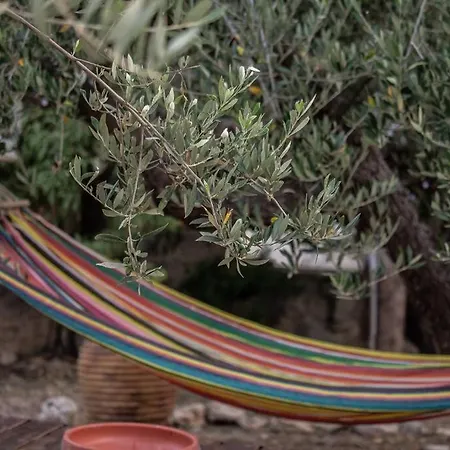 Amygdalia Traditional House Semesterbostad Chania (Crete)