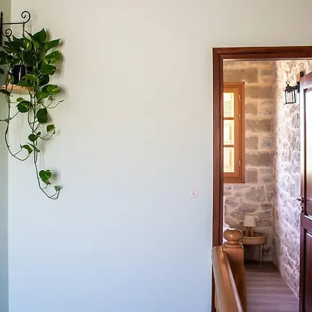 Amygdalia Traditional House Semesterbostad *